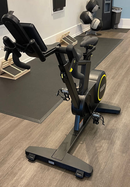 TECHNOGYM SKILLBIKE
