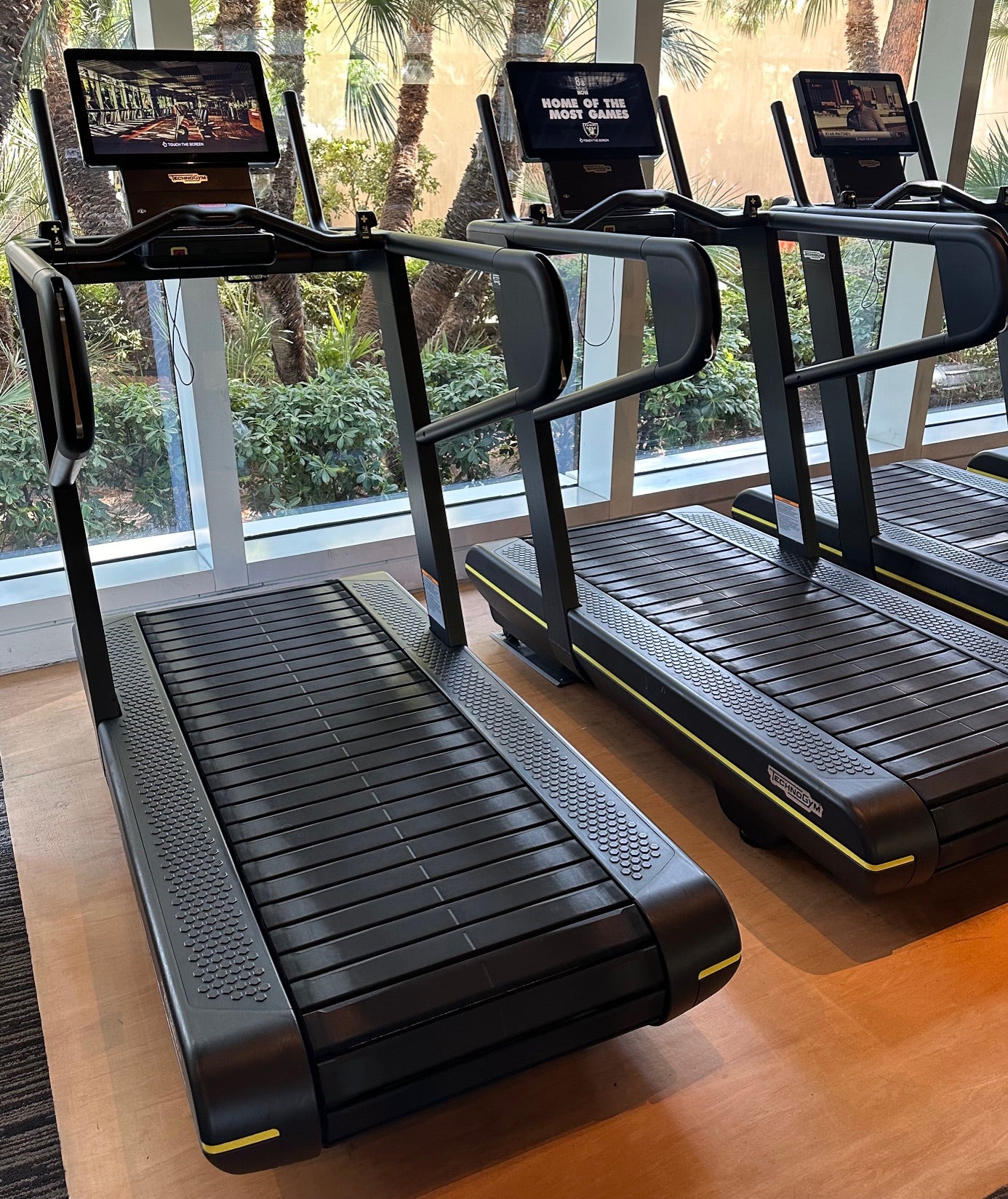 TechnoGym SkillRun with LIVE Console (2 years old)