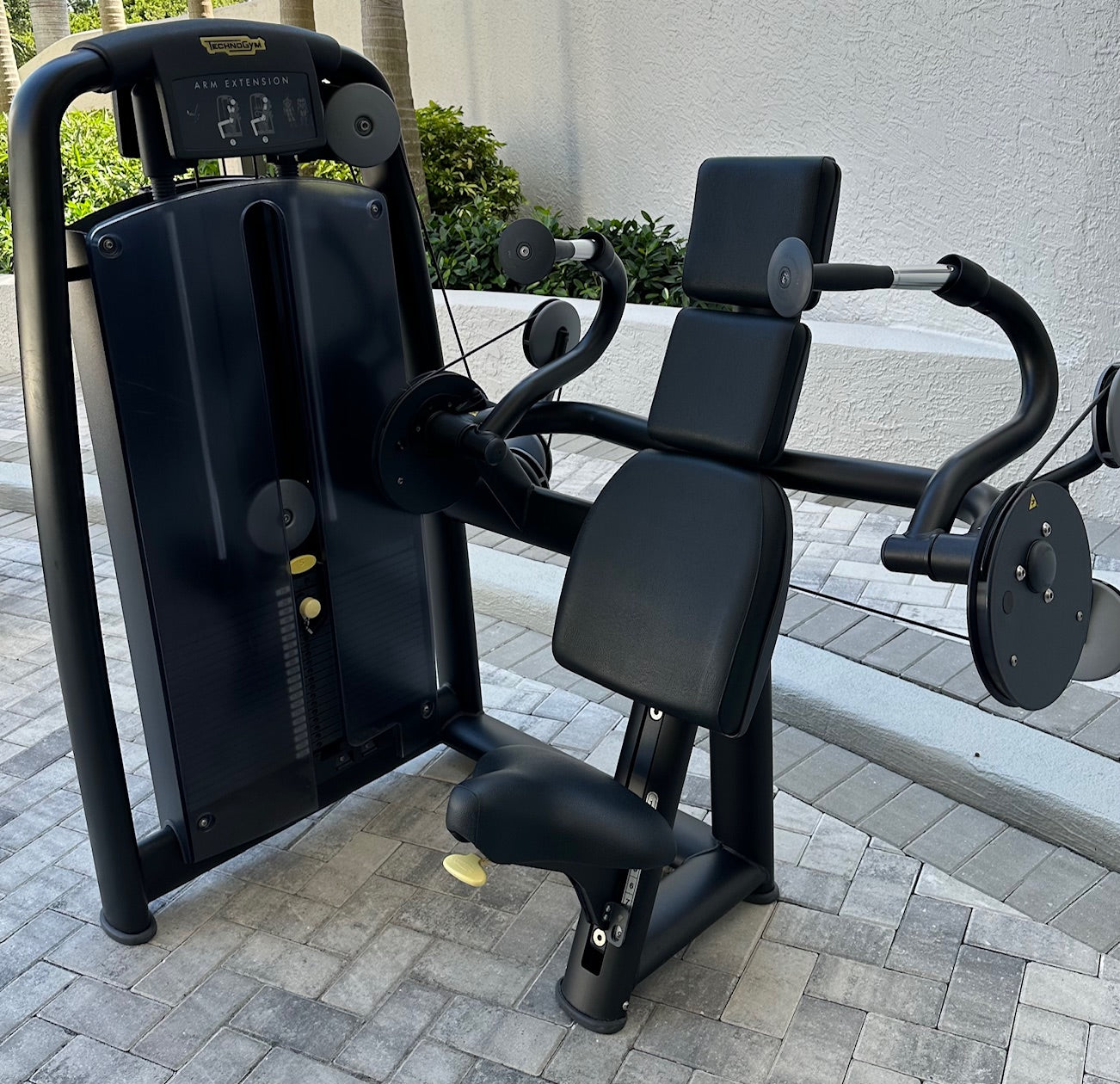 TechnoGym Selection 900 Arm Extension, Pre Owned Refurbished Commercial Exercise Equipment