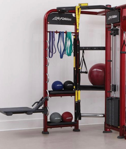 Life Fitness Synergy 360 with Jump Platform